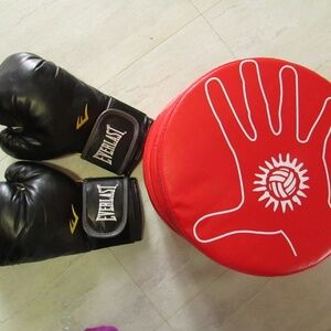 Everlast Boxing Gloves and 4 Punch Pads